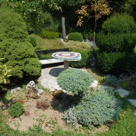 Monte Rosa ديلنايس