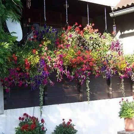 Monte Rosa * ديلنايس