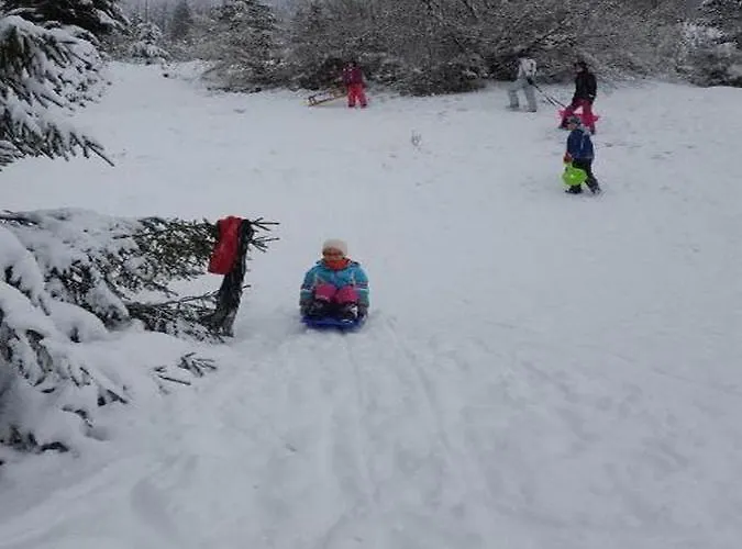 Διαμέρισμα Monte Rosa
